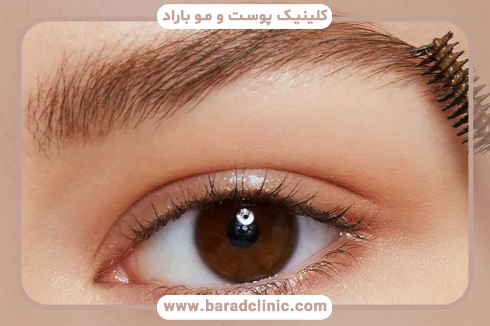 زمان رشد ابرو