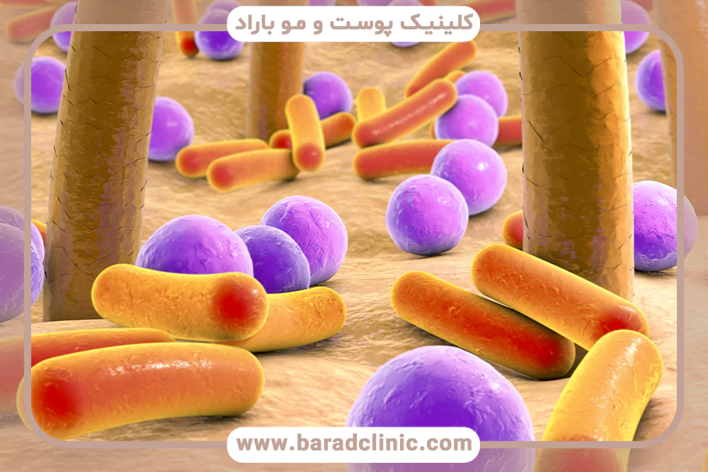 میکروبیوم پوست