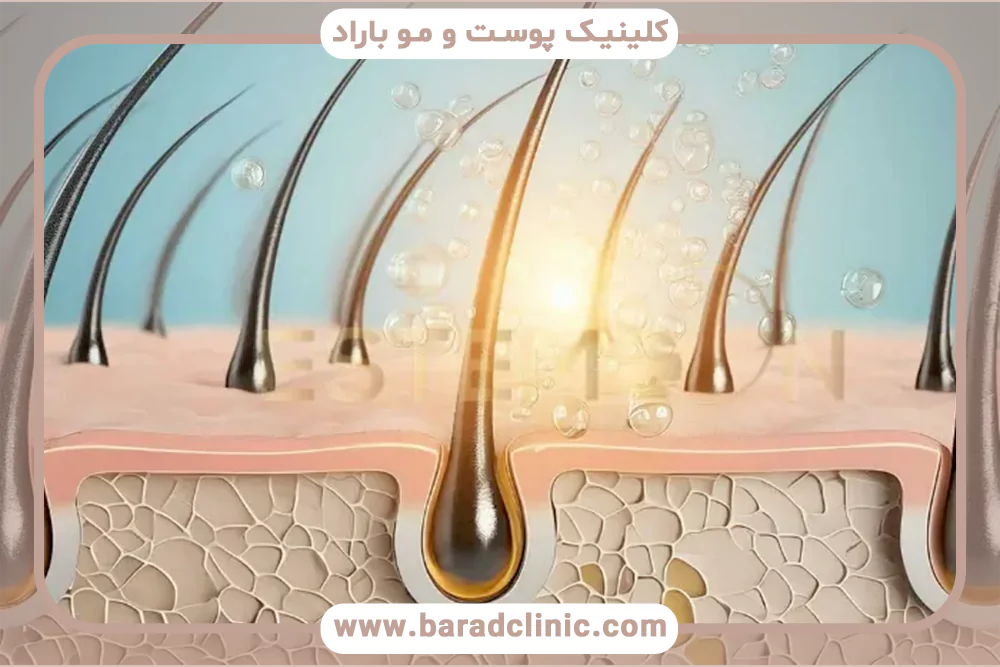 آیا تعداد فولیکول‌های مو قابل افزایش است؟