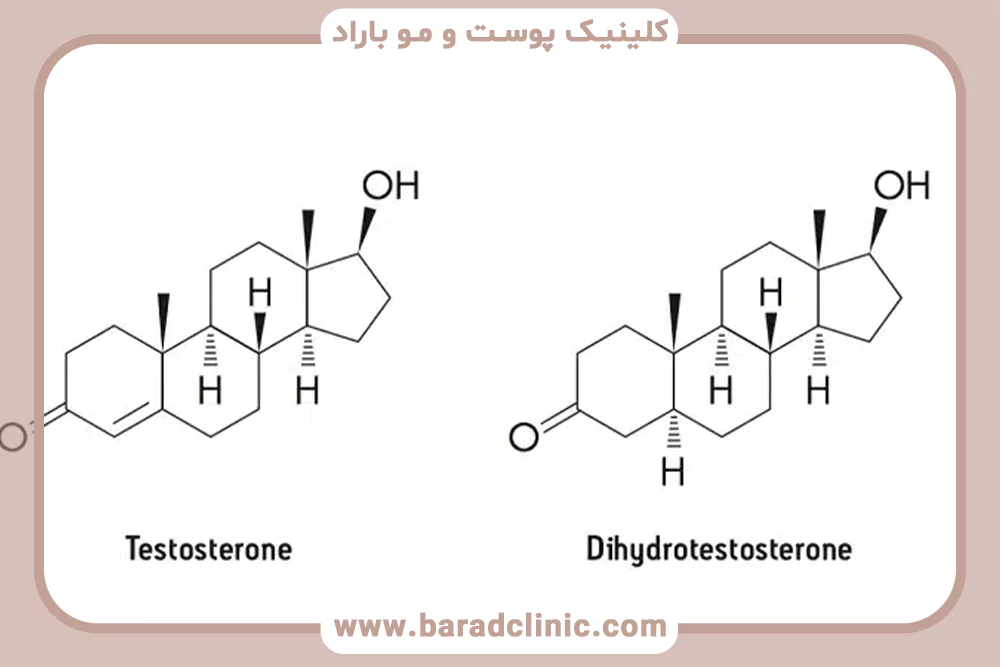 تعادل هورمونی