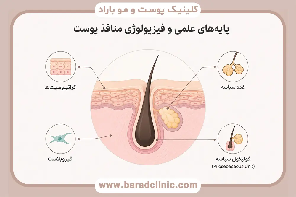 پایه‌های علمی و فیزیولوژی منافذ پوست