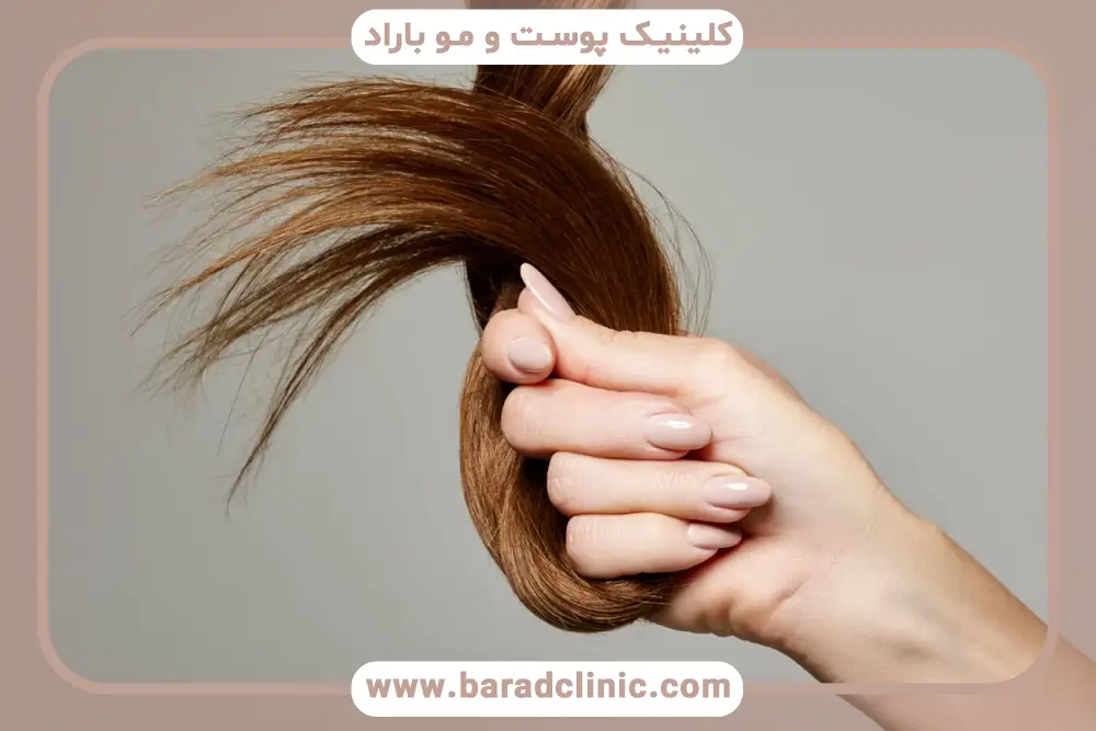 مراحل بوتاکس سرد مو 
