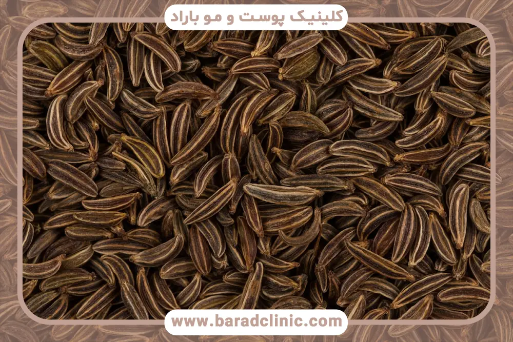 بررسی عوارض زیره سیاه برای لاغری 