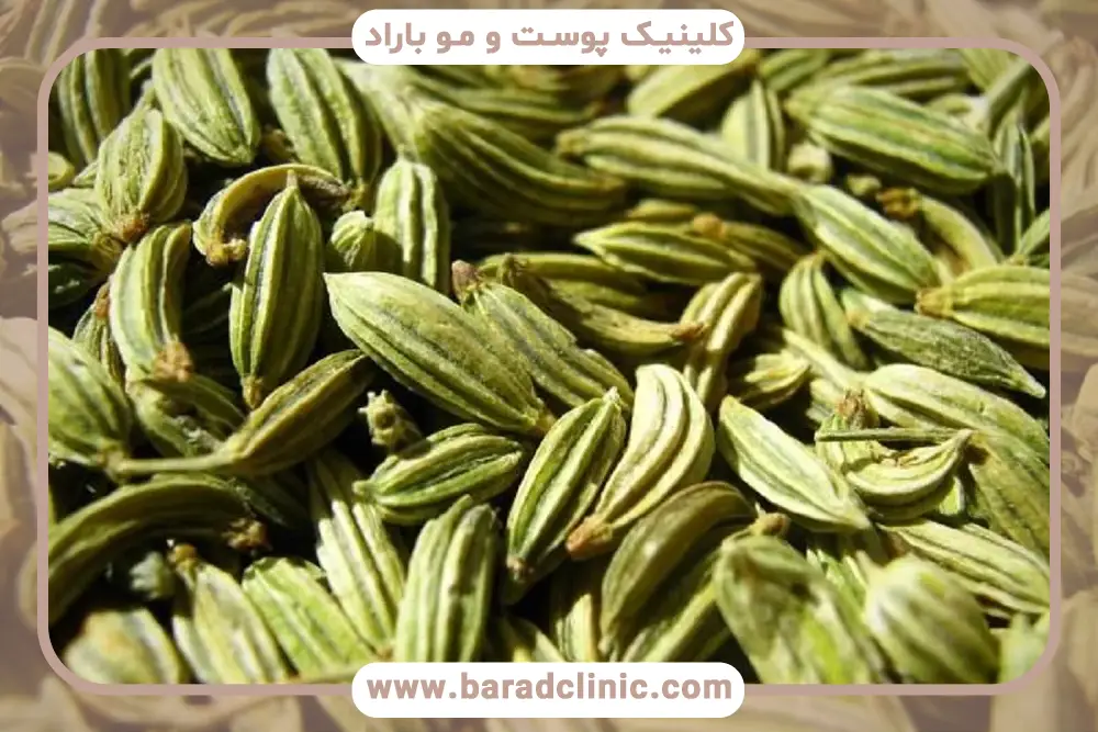 خواص زیره سبز برای لاغری شکم