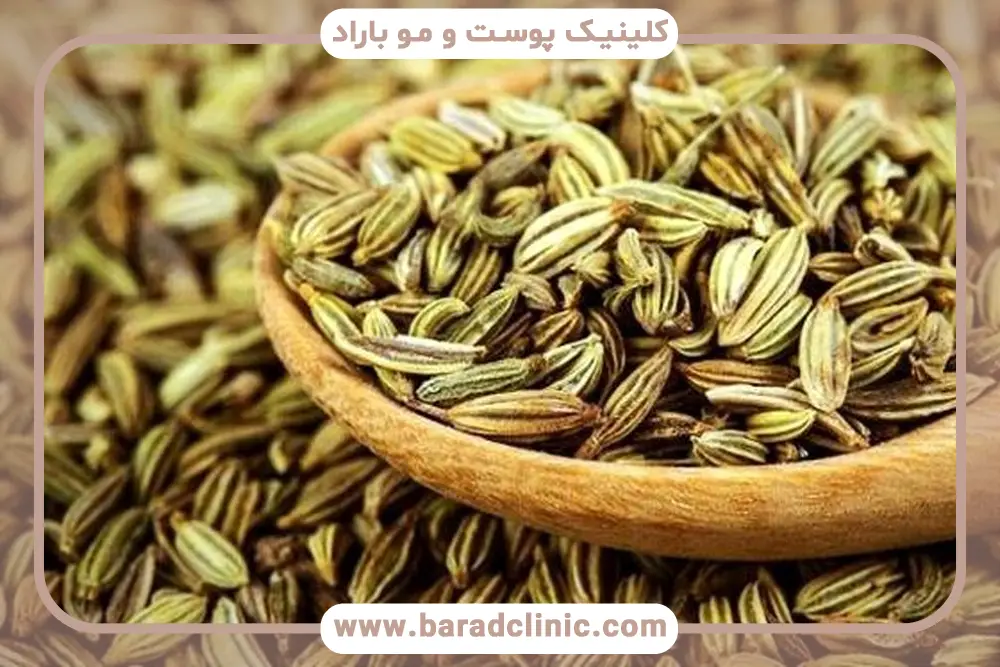 بررسی خواص زیره سبز برای لاغری شکم 