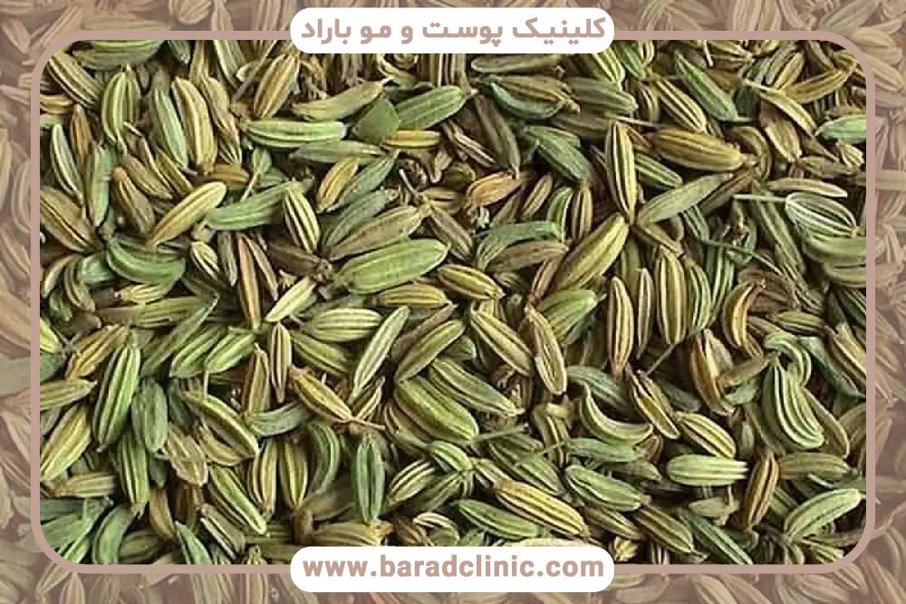 مقایسه خواص زیره سبز برای لاغری شکم با سایر روش‌ها