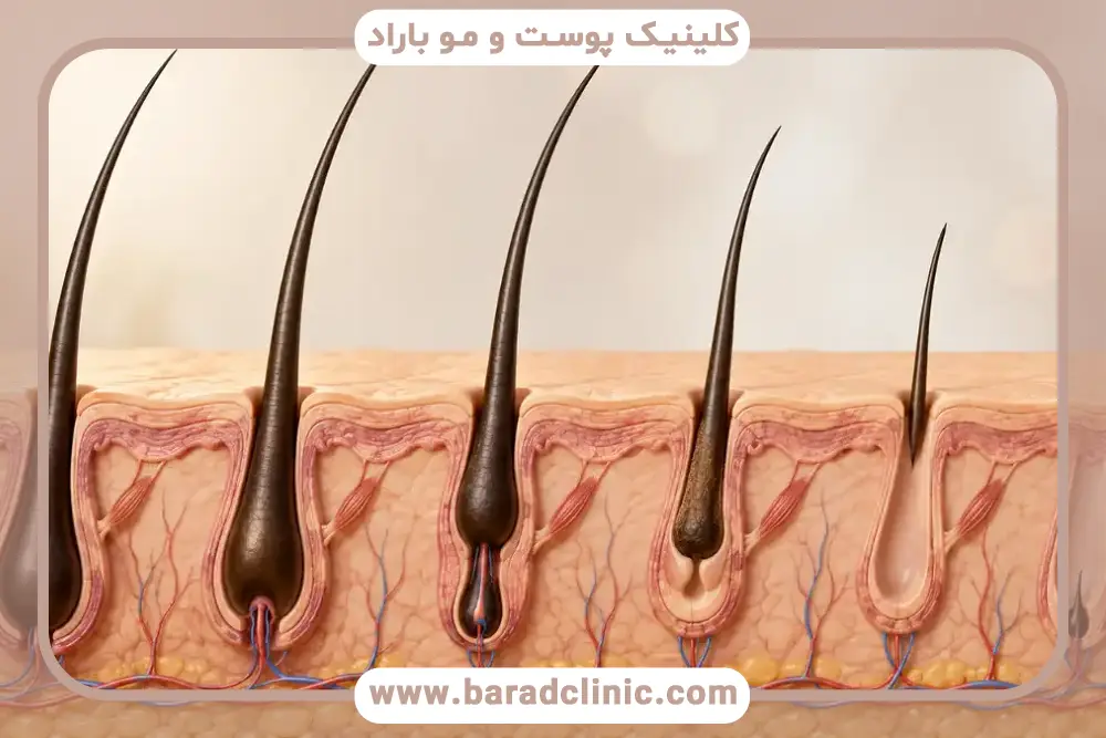 عوامل موثر بر سلامت فولیکول مو چیست؟ 
