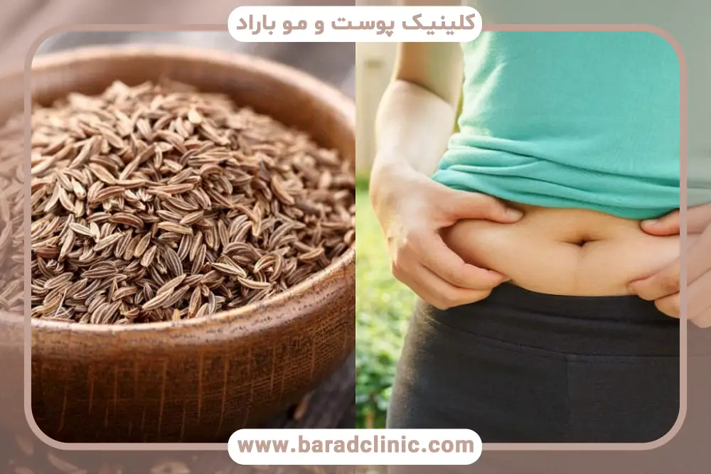 مقایسه زیره سبز، زیره سیاه و پودر زیره
